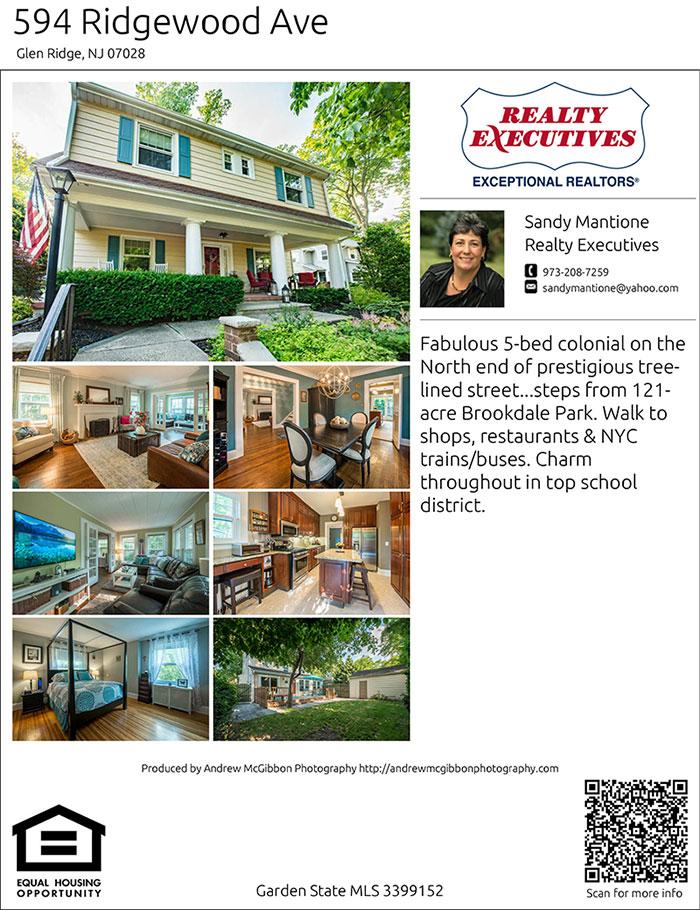 Customizable Real Estate Flyers